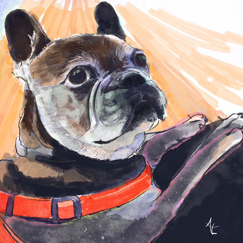 Ilustración digital Cora pedido personalizado, encargo