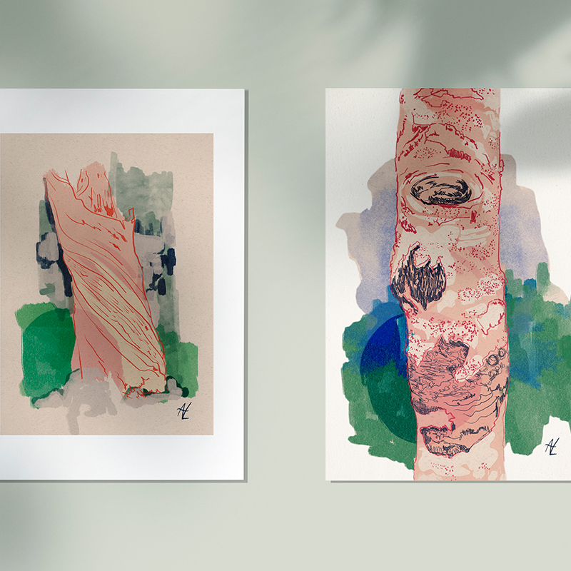 colección, ilustración digital, paisaje,